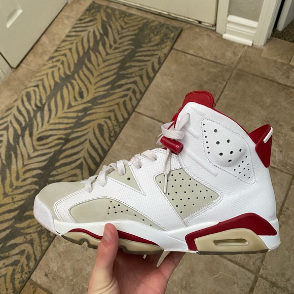 Jordan 6 Alternate